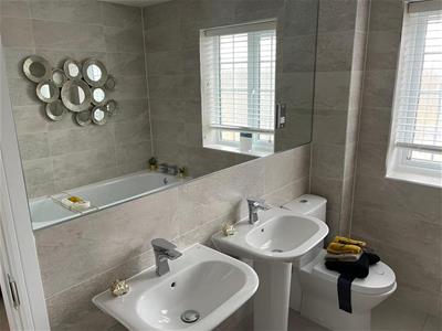 Picture 8